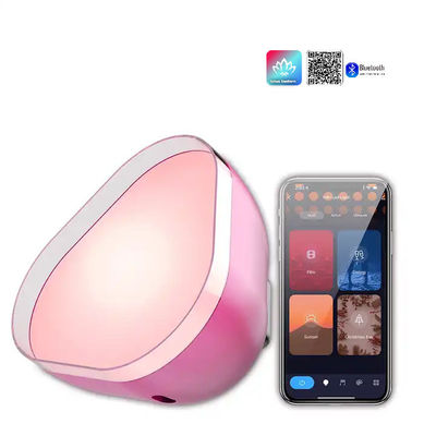 Η φόρτιση μέσω USB Ατμόσφαιρα Φώτα LED RGBIC Bluetooth Προσαρμοσμένο